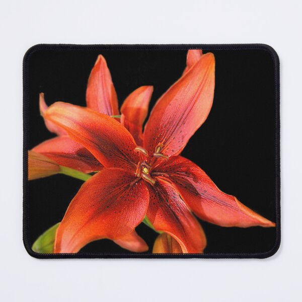 Item preview, Awesome Rust coloured Iris designed and sold by vette.
