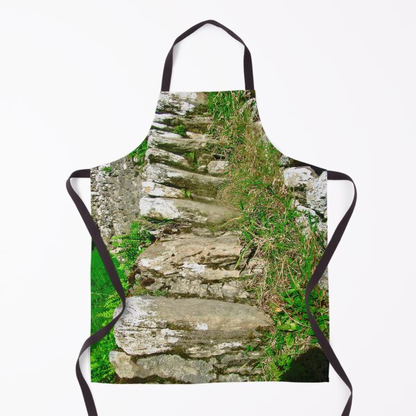 Item preview, Stairs at Grianan of Aileach designed and sold by Shulie1.