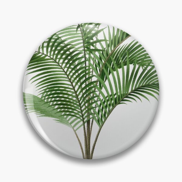 Item preview, Vintage Palm Tree Illustration - Calamus Asperrimus designed and sold by redoARTstore.