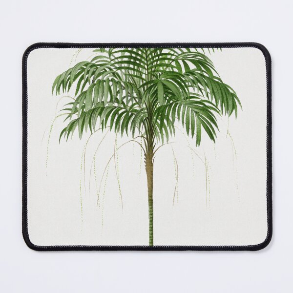 Item preview, Palm Tree Illustration - Areca designed and sold by redoARTstore.