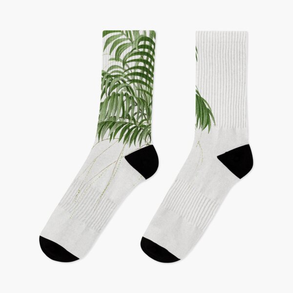 Item preview, Palm Tree Illustration - Areca designed and sold by redoARTstore.
