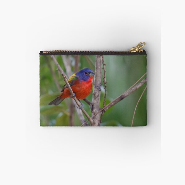 Item preview, Painted Bunting designed and sold by Rob Lavoie.