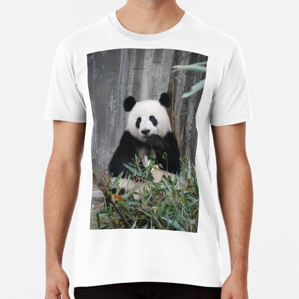 t shirt canal panda