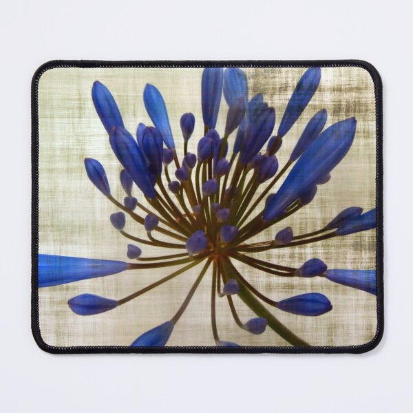 Item preview, #AGAPANTHUS designed and sold by DMEIERS.
