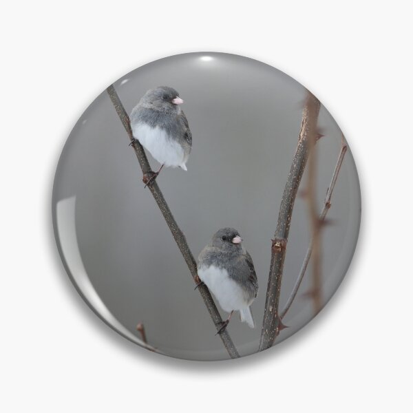 Item preview, Winter Juncos designed and sold by LisaNaturePhoto.