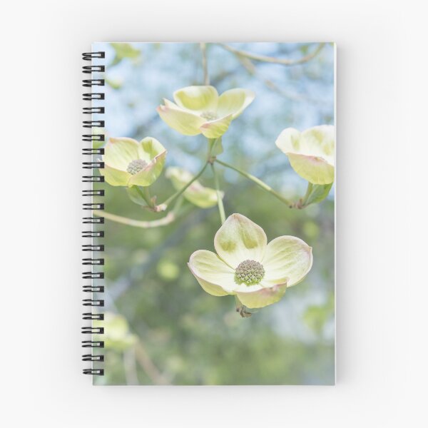 Item preview, White Flowering Dogwood Blossoms in Springtime designed and sold by Amy Mitchell.