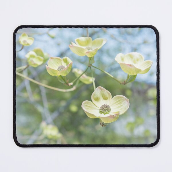 Item preview, White Flowering Dogwood Blossoms in Springtime designed and sold by Amy Mitchell.
