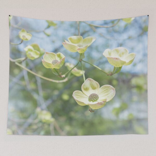 Item preview, White Flowering Dogwood Blossoms in Springtime designed and sold by Amy Mitchell.