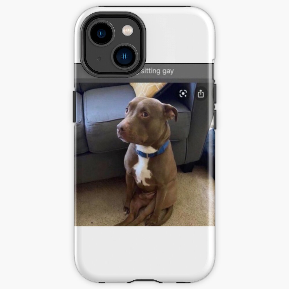 dog sitting gay | iPhone Case