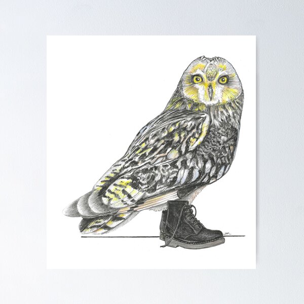 Item preview, Short-eared Owl in Boots designed and sold by JimsBirds.