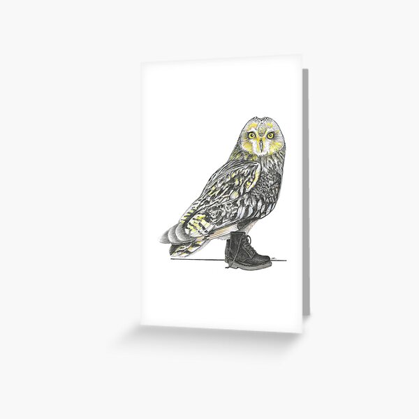 Item preview, Short-eared Owl in Boots designed and sold by JimsBirds.