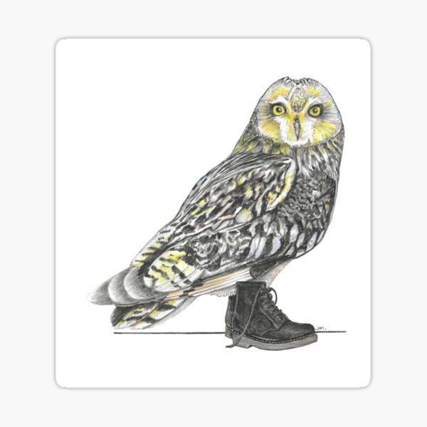 Item preview, Short-eared Owl in Boots designed and sold by JimsBirds.