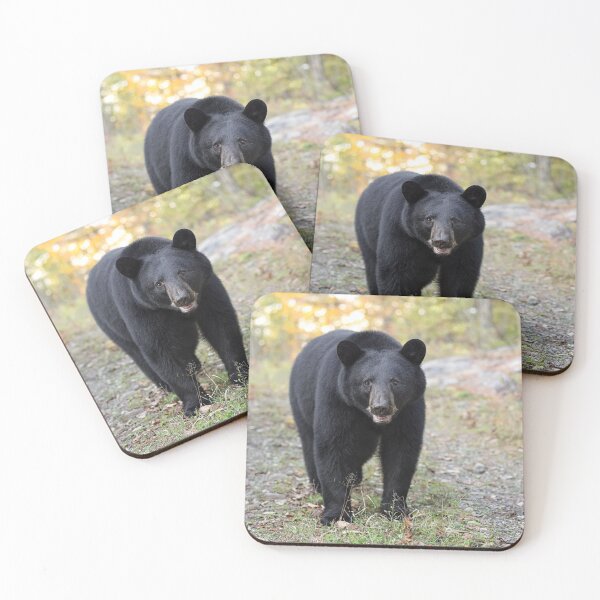 Item preview, Black Bear designed and sold by mlorenz.