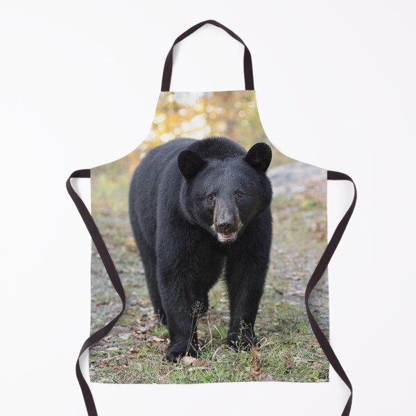 Item preview, Black Bear designed and sold by mlorenz.
