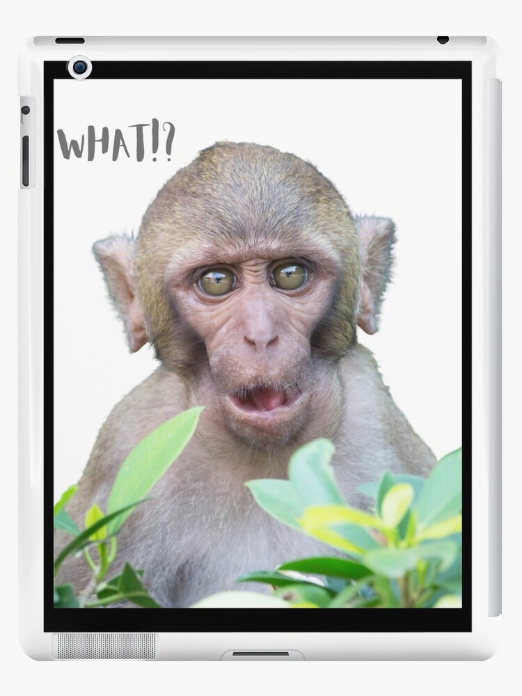 Funny Photo Bomb Prints Silly Monkey Boo! Awesome Novelty Meme Animals  Fashion and Decor  Sticker for Sale by MrGiftee