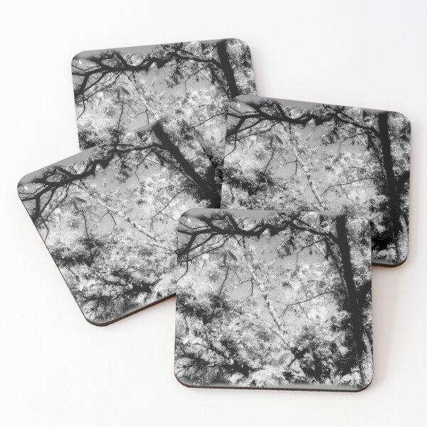 Item preview, Black & White shades trees by Iritof designed and sold by iritof.
