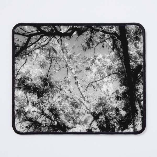 Item preview, Black & White shades trees by Iritof designed and sold by iritof.