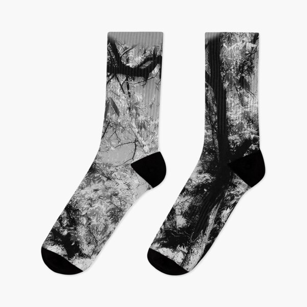 Item preview, Black & White shades trees by Iritof designed and sold by iritof.