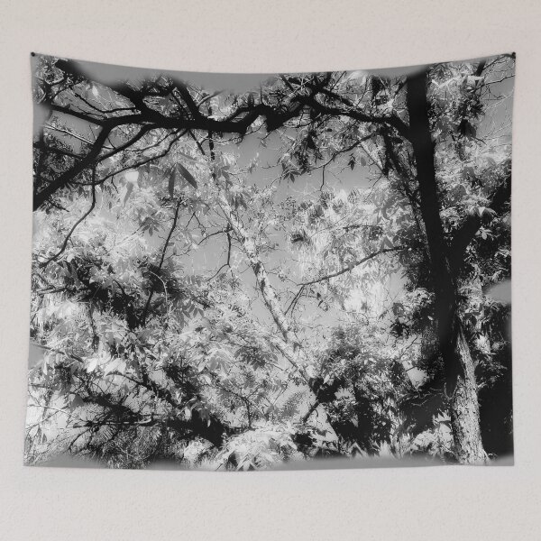 Item preview, Black & White shades trees by Iritof designed and sold by iritof.