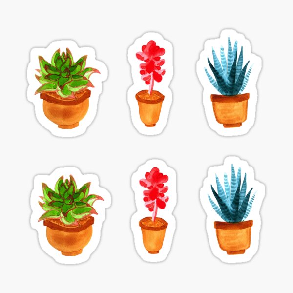 Watercolour Succulents Stickers Sticker