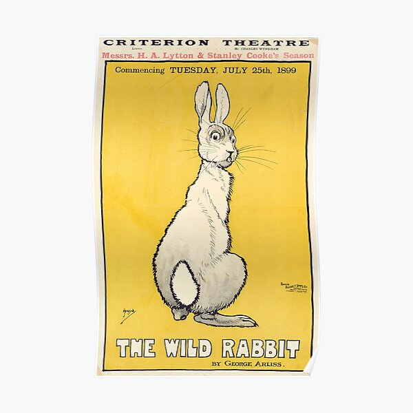 The Wild Rabbit poster, 1899 by George Arliss Poster