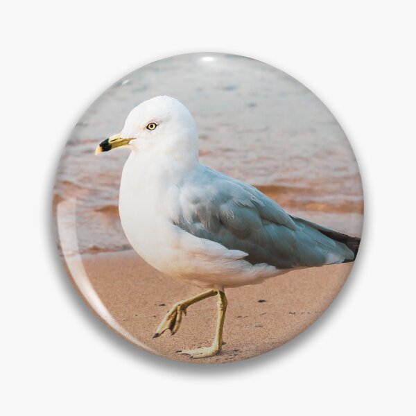 Item preview, Seagull on the Beach at Okanagan Lake designed and sold by Amy Mitchell.