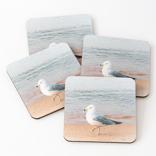 Item preview, Seagull on the Beach at Okanagan Lake designed and sold by Amy Mitchell.