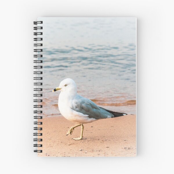 Item preview, Seagull on the Beach at Okanagan Lake designed and sold by Amy Mitchell.