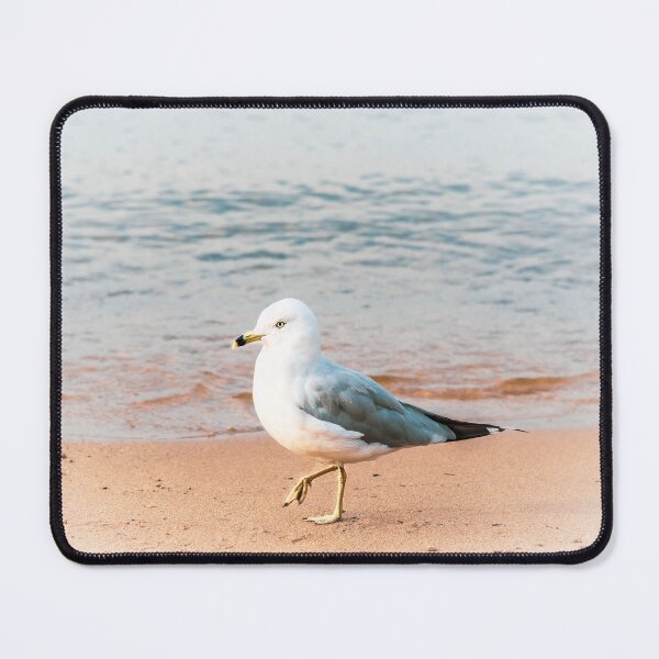 Item preview, Seagull on the Beach at Okanagan Lake designed and sold by Amy Mitchell.