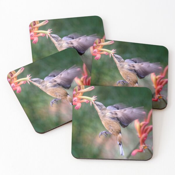 Item preview, Mid air feeding eastern spinebill.  designed and sold by DaveBassett.