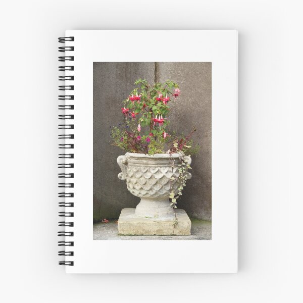 Item preview, Fuchsia  designed and sold by Philip Butler.