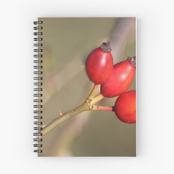 Item preview, Rose hips red. designed and sold by Paul Pasco.