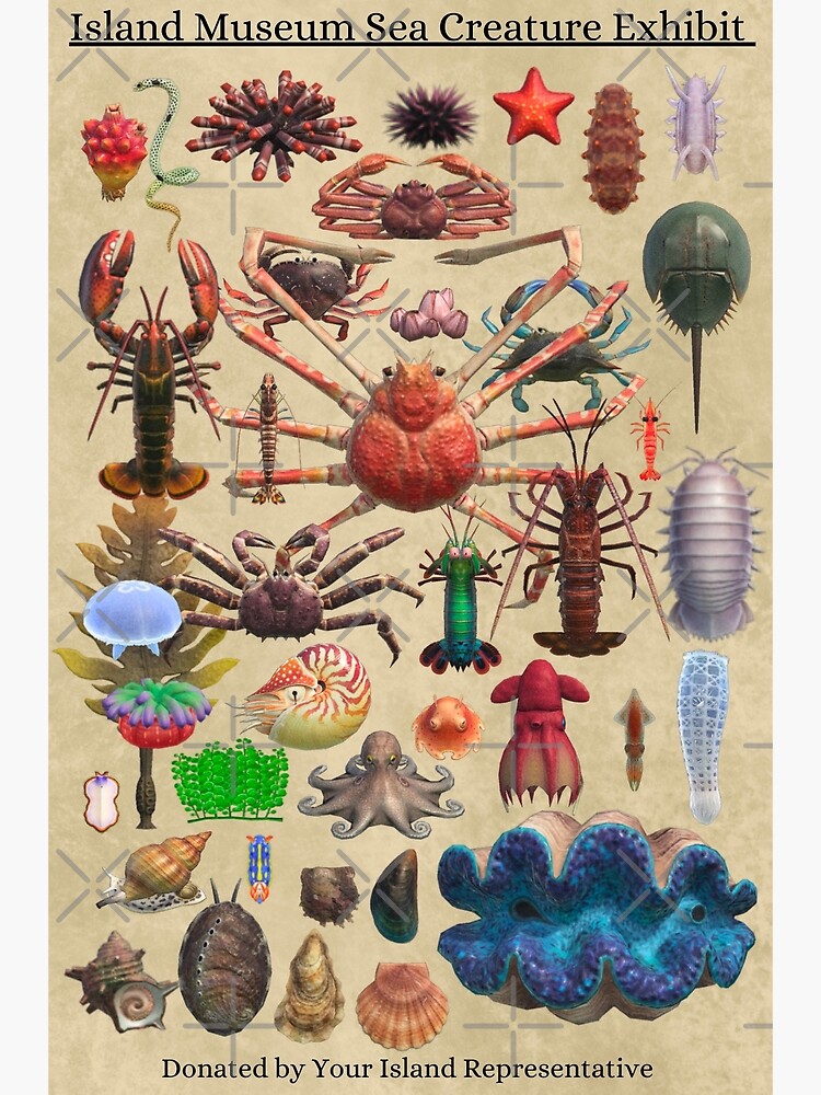 Disover Island Museum Sea Creature Exhibit Premium Matte Vertical Poster