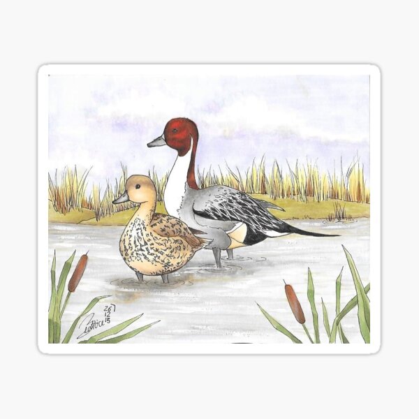 Vista previa del artículo con la obra «Patos», diseñado y vendido por BeatriceCanova.