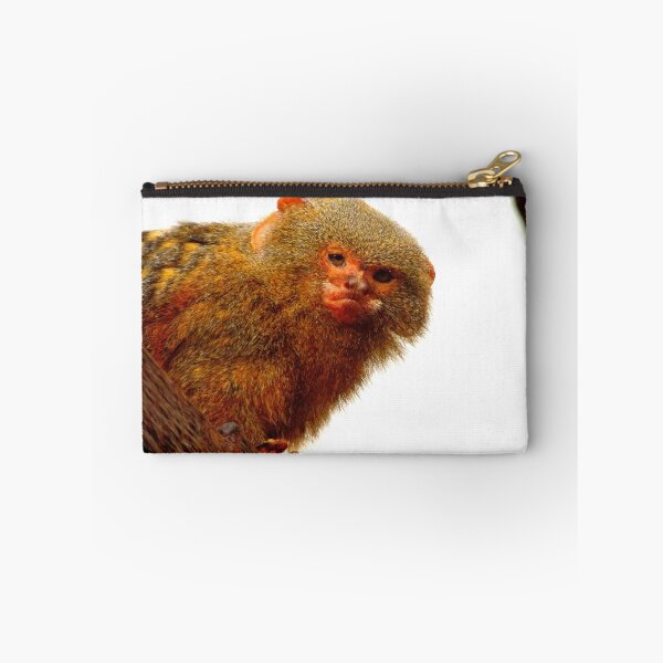 Item preview, Pygmy Marmoset designed and sold by Barnbk02.
