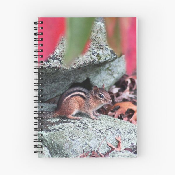 Artikelvorschau, Herbst Chipmunk entworfen und verkauft von kbelle38.