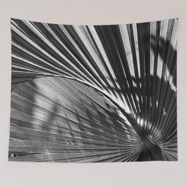 Item preview, Fine Art Black And White Fan Palm Leaf designed and sold by DEC02.
