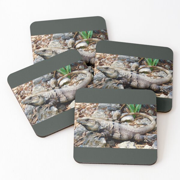 Item preview, Iguana in Mexico designed and sold by kbelle38.