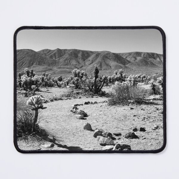Item preview, Cholla Cactus Garden Path designed and sold by RhyAndBlues.