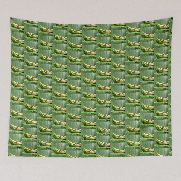 Item preview, Lazy frog  designed and sold by Singerevita.