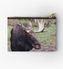 Large moose in a forest Studio Pouch