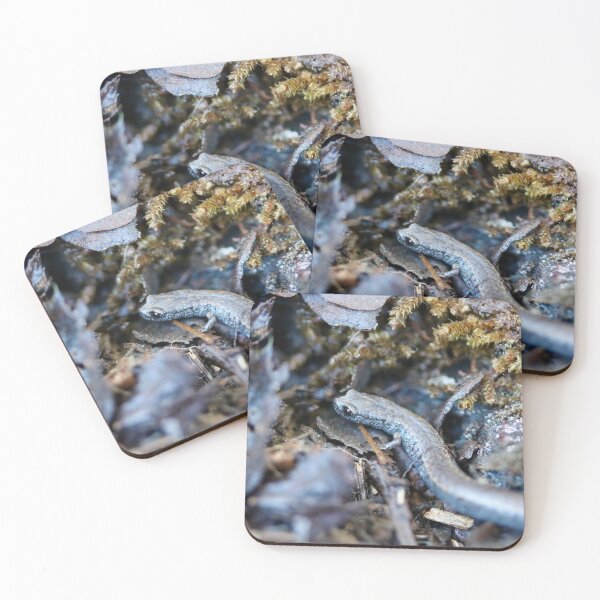 Item preview, California Slender Salamander designed and sold by Emmaline Jones.