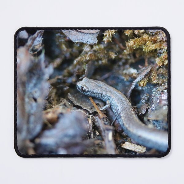 Item preview, California Slender Salamander designed and sold by Emmaline Jones.
