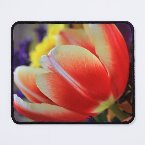 Item preview, " Lumens with a White Cap " designed and sold by canonman99.