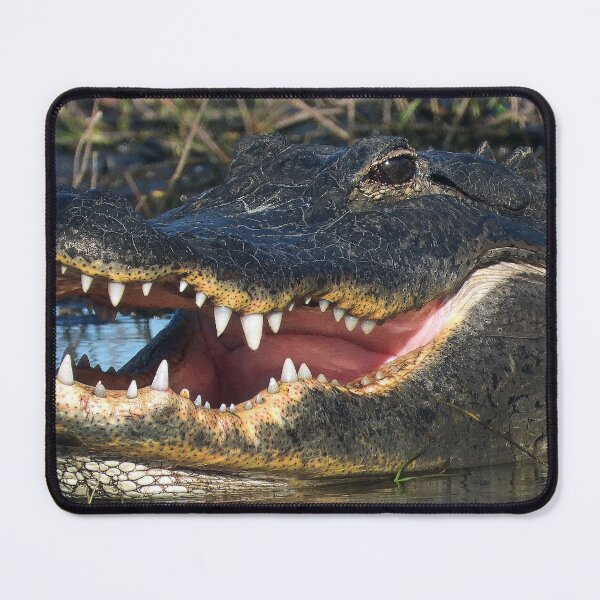 Item preview, Gator #0003 designed and sold by Jeffrey Mask.