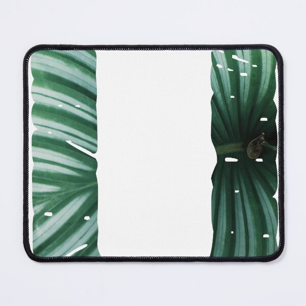 Item preview, Letter O plant background designed and sold by CreativeArts Studio.