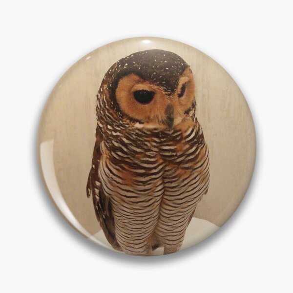 Item preview, Wise, friendly, knowing owl designed and sold by helpet58.