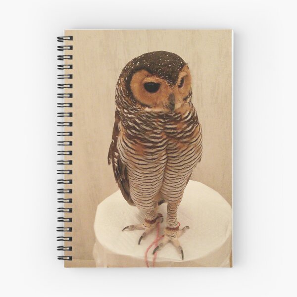 Item preview, Wise, friendly, knowing owl designed and sold by helpet58.