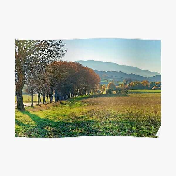 Provence Countryside Poster
