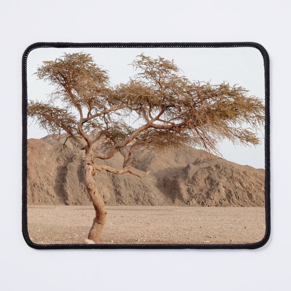 Item preview, Lonely tree in the desert designed and sold by Slalon85.